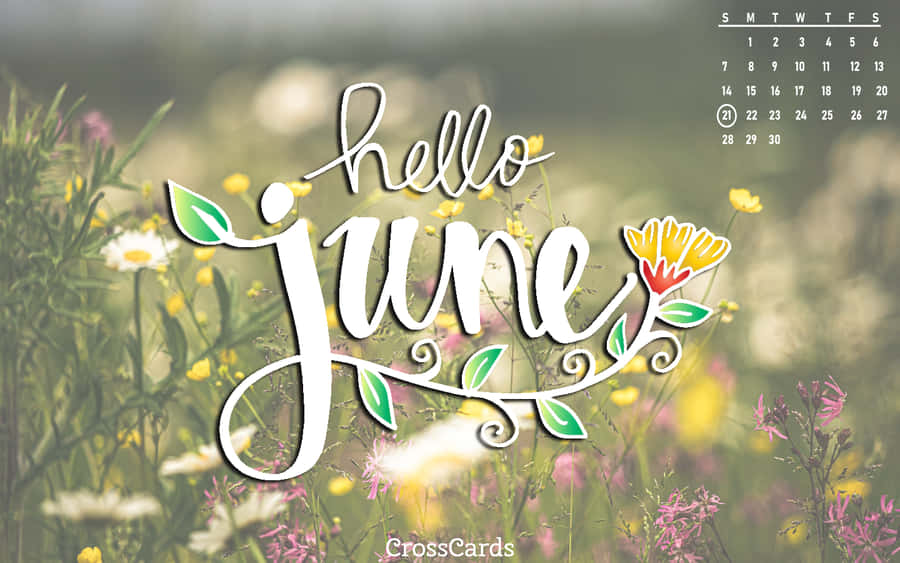 Hello June Calendar Wallpaper Wallpaper