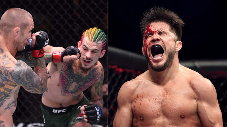 Henry Cejudo And Sean O'malley Collage Wallpaper
