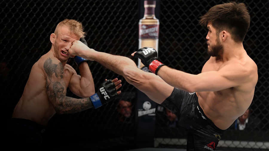 Henry Cejudo Versus Tj Dillashaw Ufc Fight Night 2019 Wallpaper