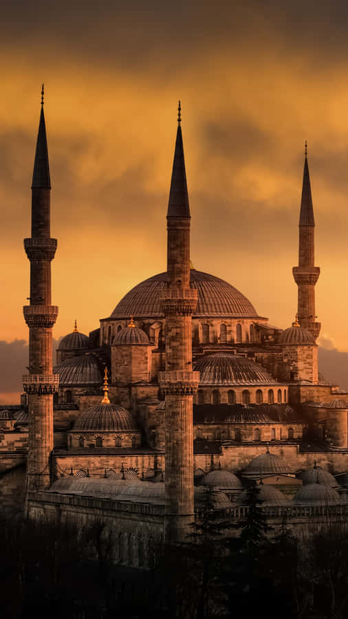 High Contrast Blue Mosque Portrait Wallpaper
