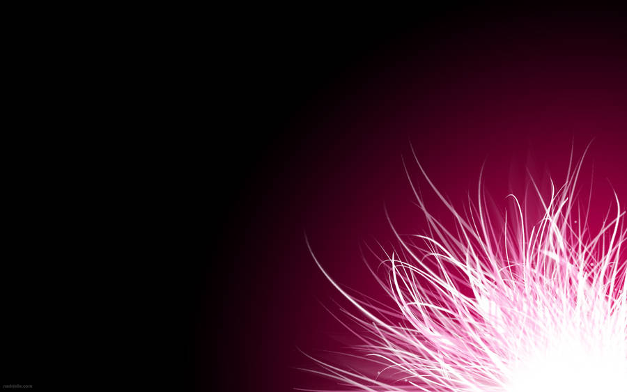 Hot Pink Glowing Flower Wallpaper