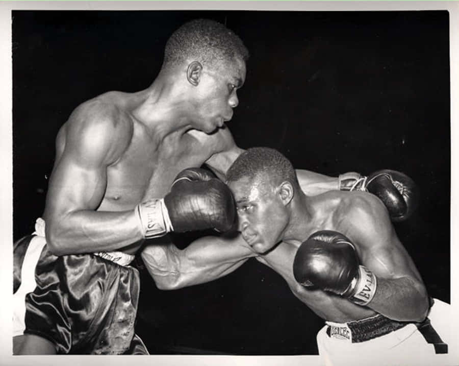 Ike Williams Gut Punch Wallpaper