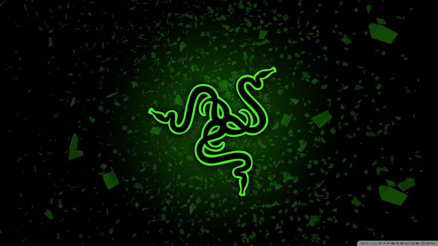 Illuminate Your Gaming Set-up With Razer Chroma Wallpaper