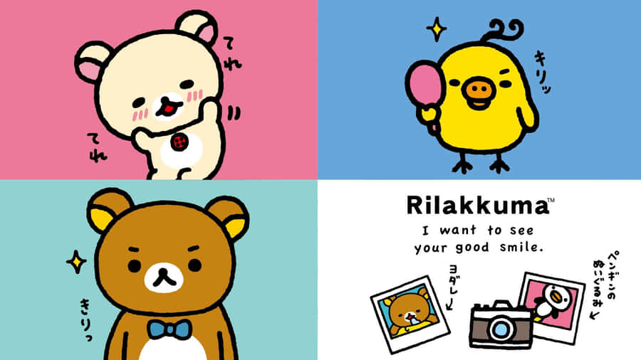 Image A Brown Bear Enjoying Time Near A Laptop Wallpaper