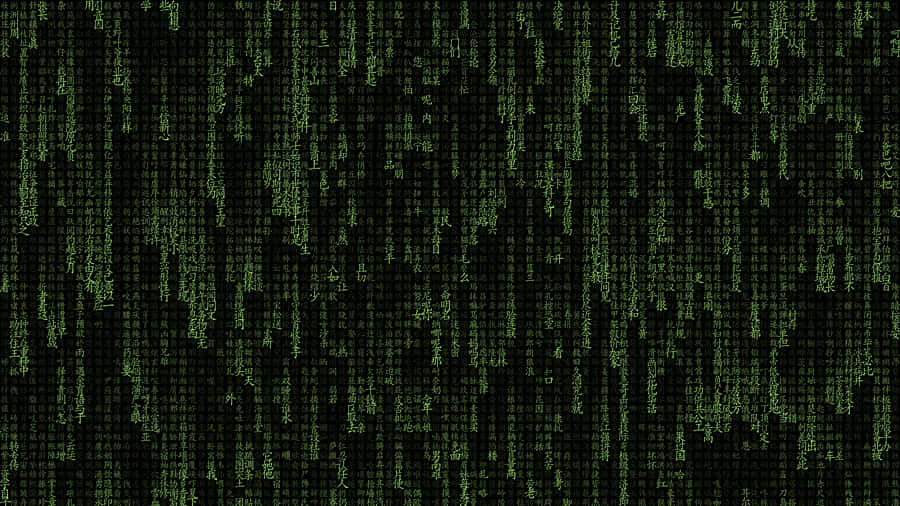 Image A Programmer Working With 1920x1080 Hd Coding Wallpaper