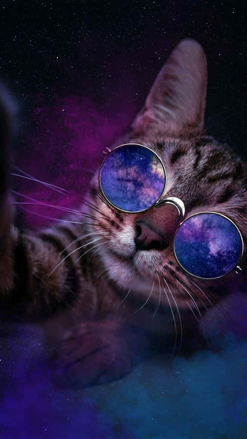 Image Bring Your Dreams To Life With Galaxy Cat Wallpaper