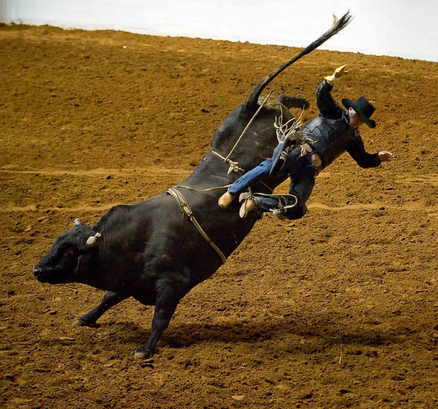 Image Bull Riding At The Rodeo Wallpaper