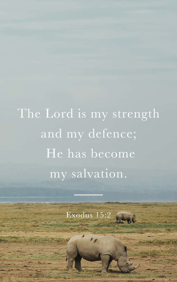 Image “download Bible Verse Phone Wallpaper Now” Wallpaper