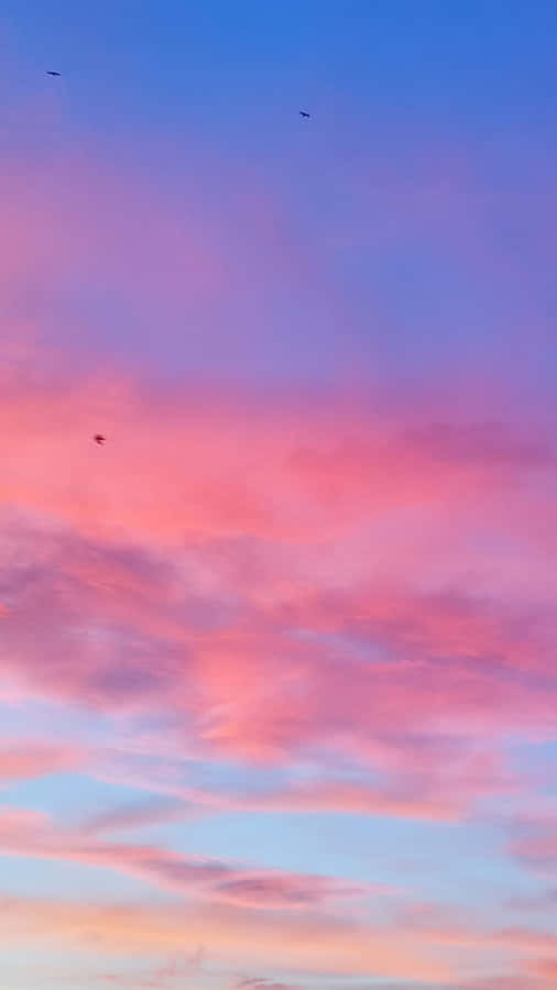 Image Hot Pink And Blue Sky With Clouds Wallpaper