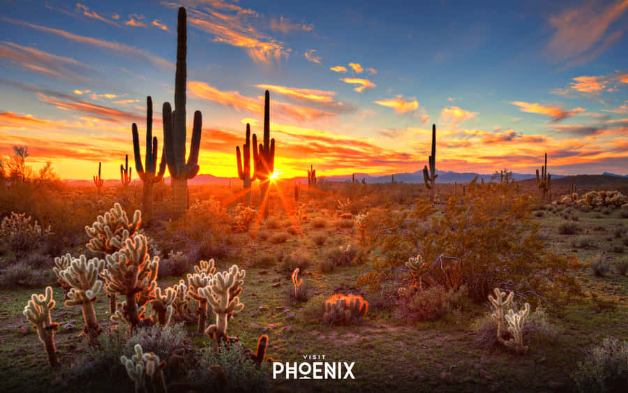 Image Phoenix Arizona Skyline At Sunset Wallpaper