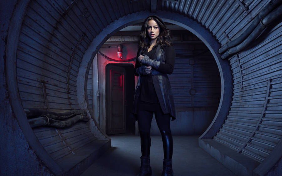Impressive Agents Of Shield Daisy Johnson Portrait Wallpaper