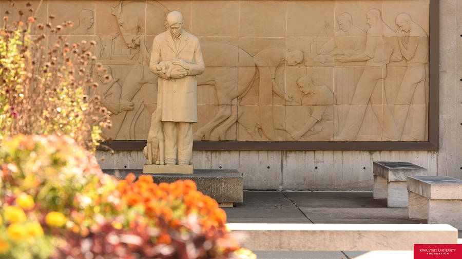 Iowa State University Veterinary Medicine Wallpaper
