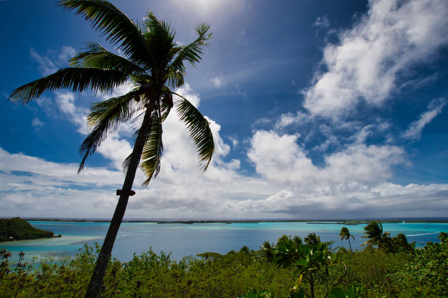 Island In French Polynesia Wallpaper