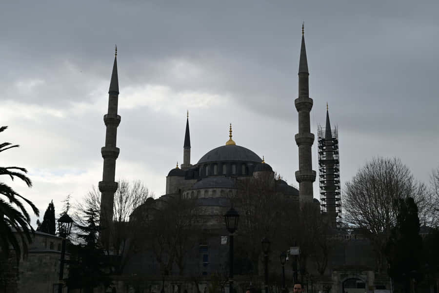 Istanbul Turkey Blue Mosque Greyscale Wallpaper