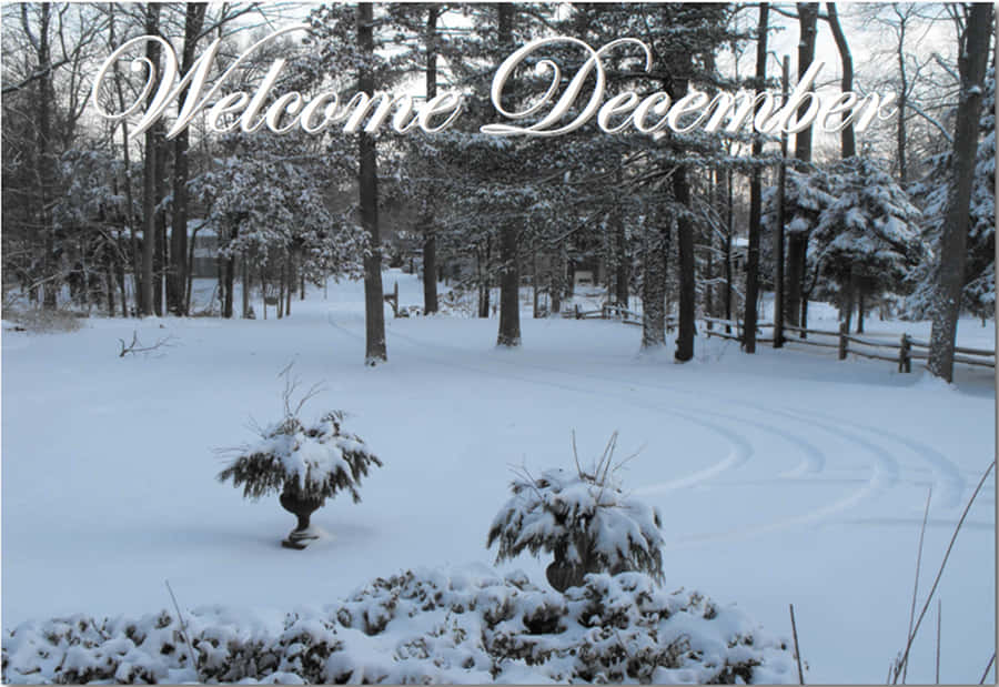 It's The Most Wonderful Time Of The Year! Wallpaper