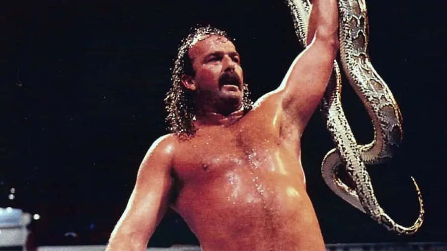 Jake Roberts - The Resurrection Of Jake The Snake Wallpaper
