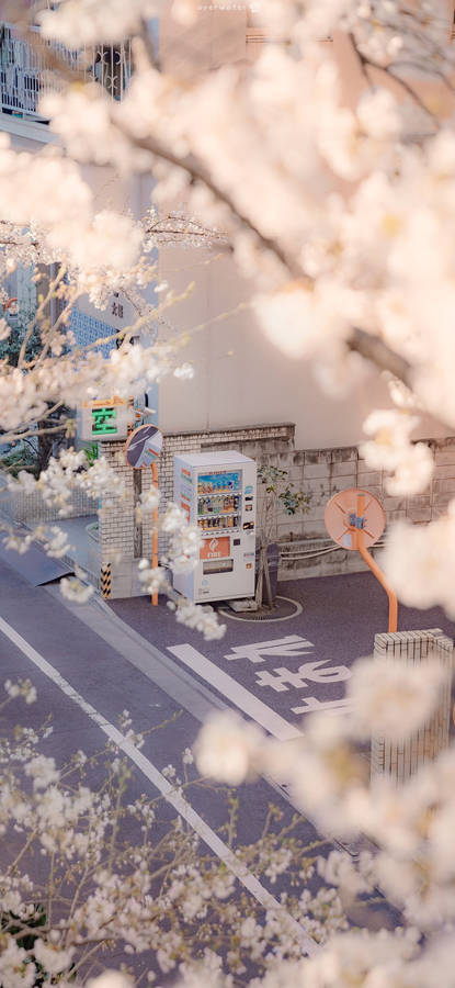 Japanese Aesthetic Iphone Vending Machine And Sakura Flowers Wallpaper
