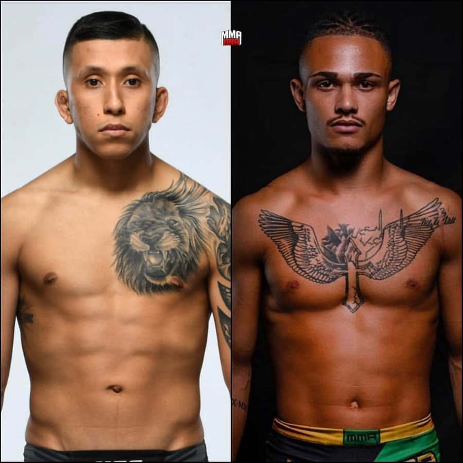 Jeff Molina And Daniel Lacerda Wallpaper