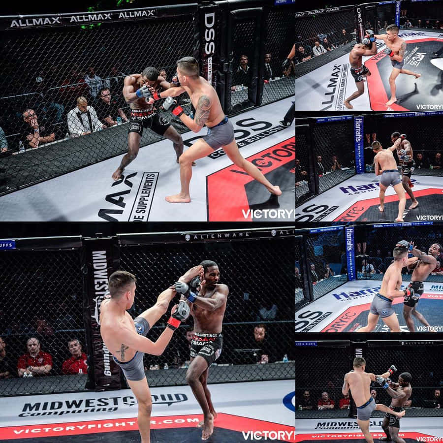Jeff Molina Vs Kenny Porter Ii Wallpaper