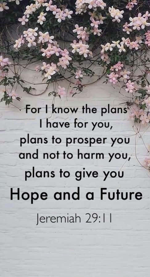 Jeremiah 29:11 Pink Flowers Wallpaper