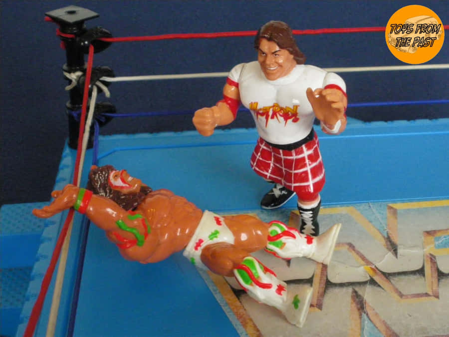 Jimmy Snuka Wrestling Figure Wallpaper