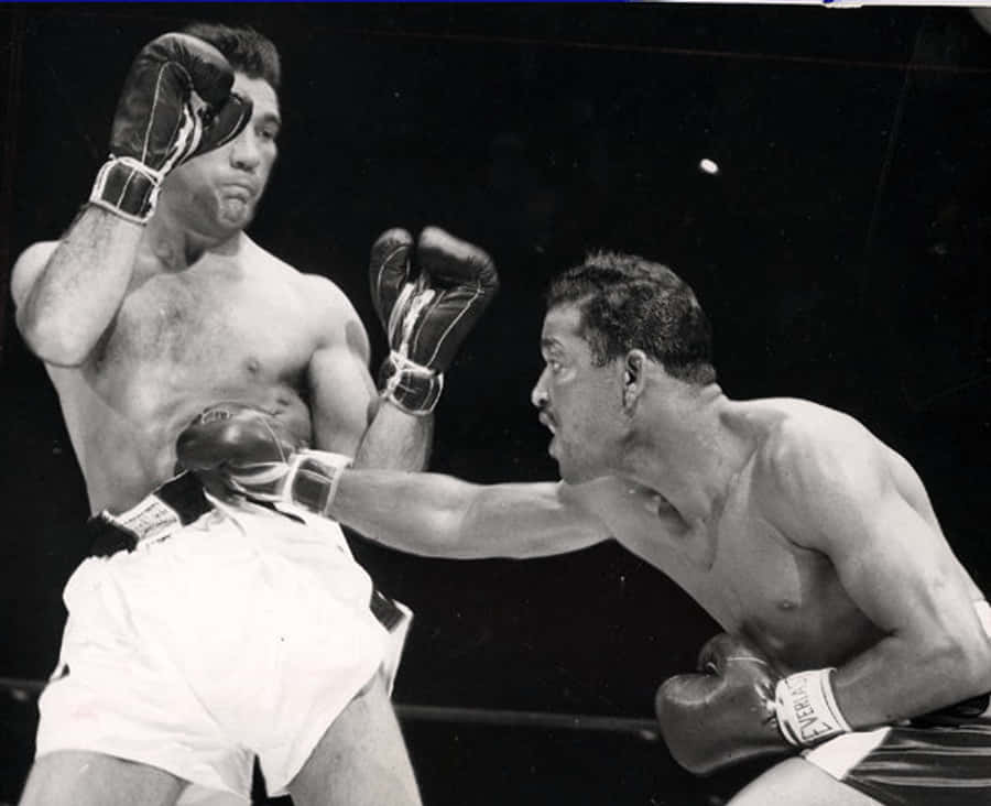 Joey Maxim Takes A Punch Wallpaper