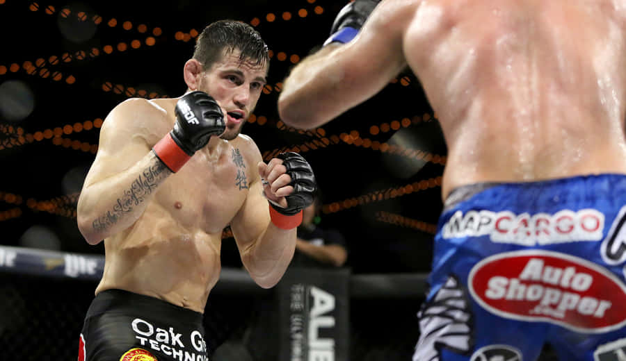 Jon Fitch Vs. Jake Shields Wsof Welterweight Championship Wallpaper