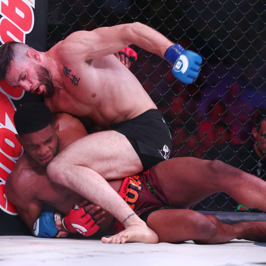 Jon Fitch Vs. Paul Daley Bellator 199 Fight Wallpaper