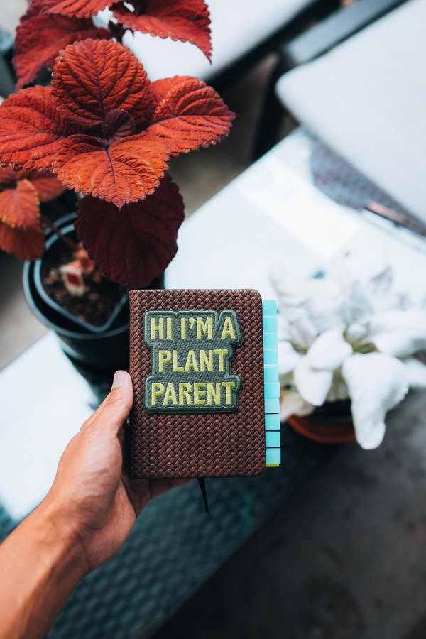 Journal And Potted Plant Wallpaper