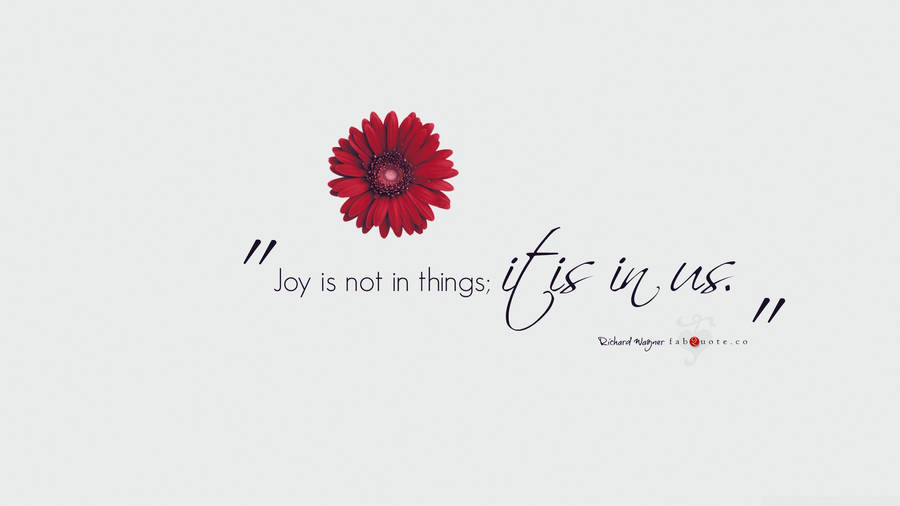 Joy Red Daisy Wallpaper