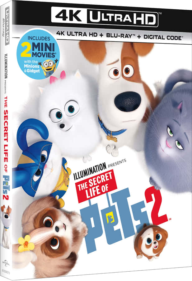 Joyful Assembly Of The Secret Life Of Pets 2 Characters Wallpaper