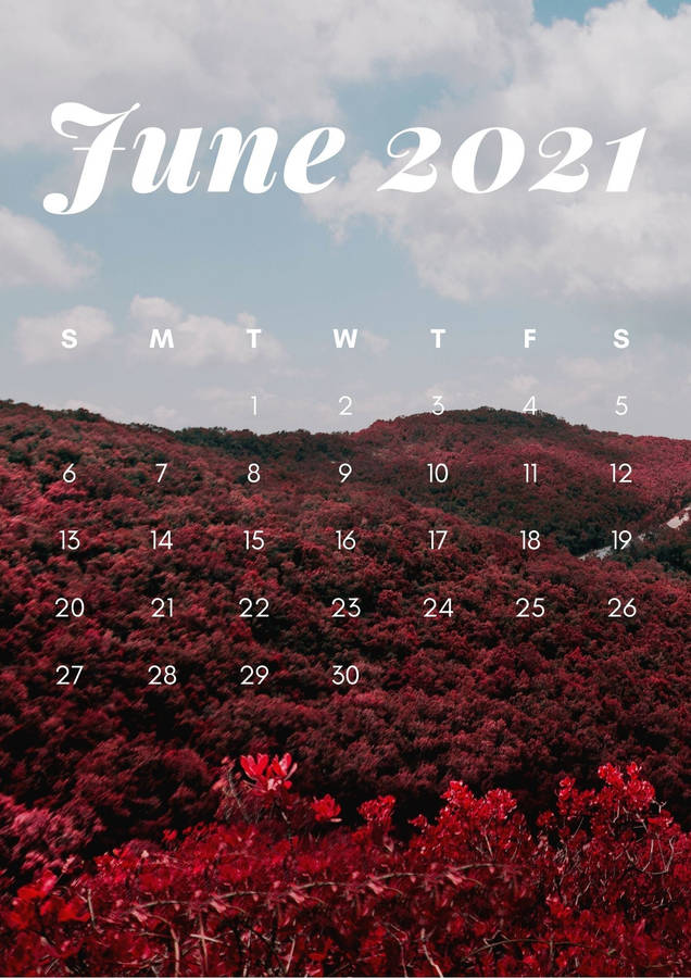 June 2021 Calendar Iphone Screen Wallpaper