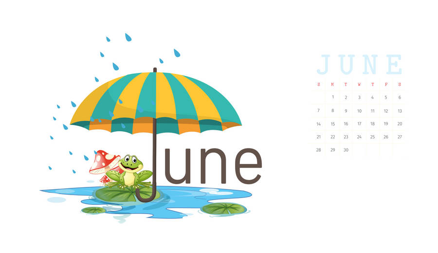 June 2021: The Perfect Way To Stay Dry In The Rain Wallpaper
