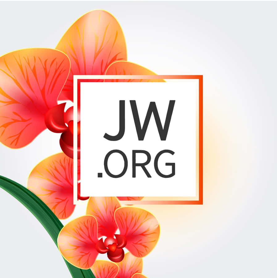 Jworg With Orange Flower Wallpaper