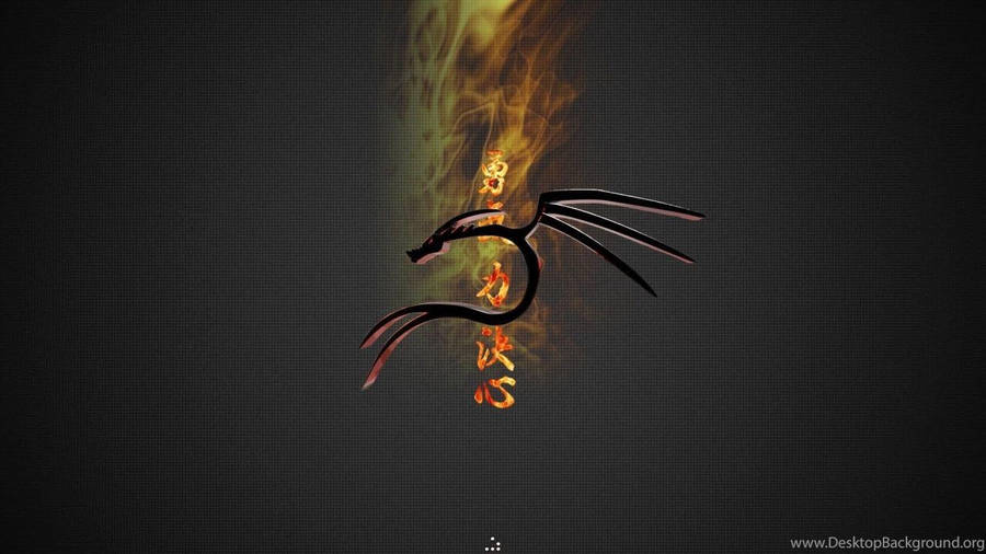Kali Linux Burning Dragon 3d Wallpaper
