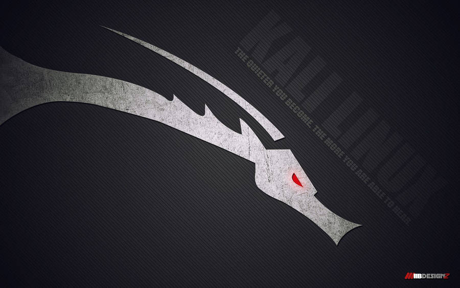 Kali Linux Graphic Dragon Hd Wallpaper