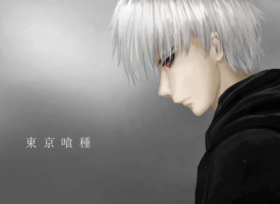 Kaneki Anime Sad Digital Design Wallpaper