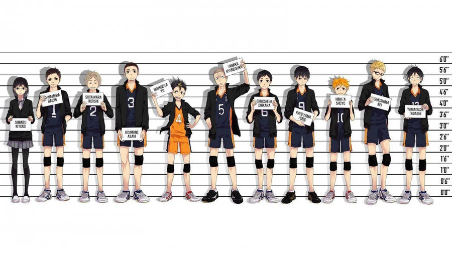 Karasuno Members With Heights Haikyuu Aesthetic Wallpaper