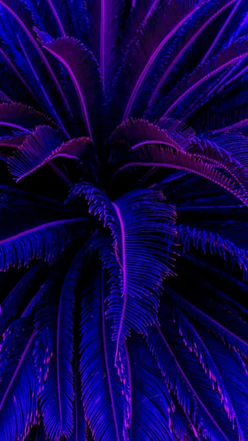 Keep Your Phone Looking Fly With Neon Textures. Wallpaper