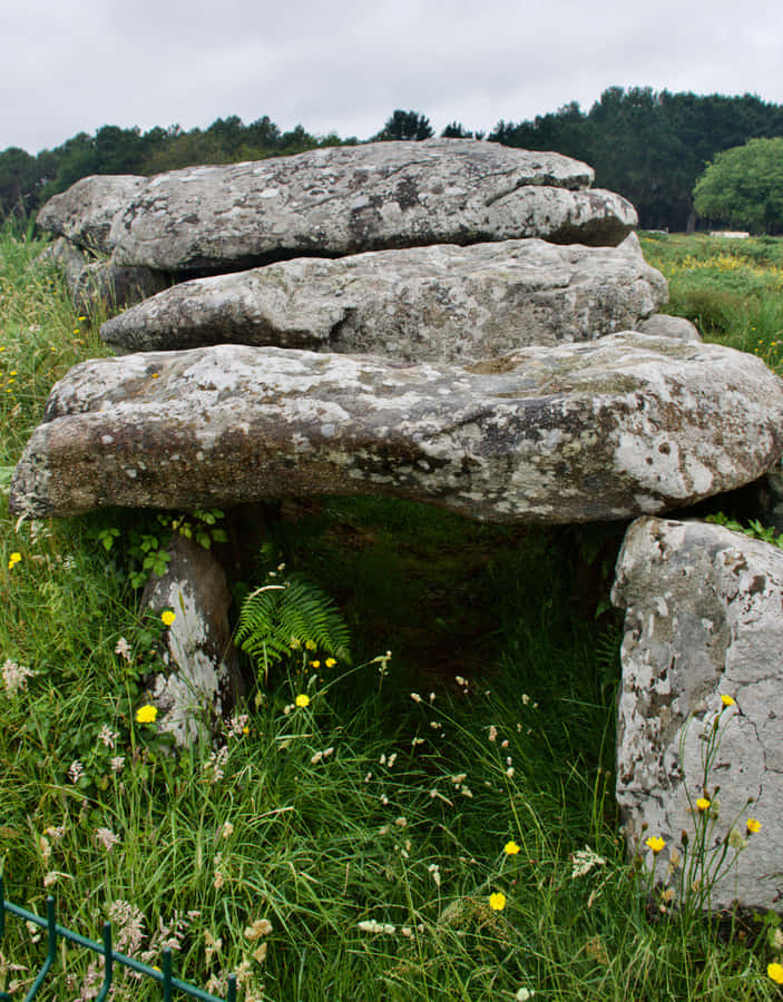 Kermario Dolmen Carnac Stones Burial Chamber Wallpaper