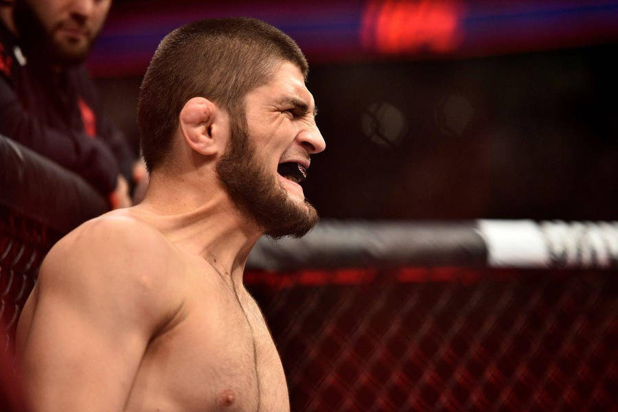 Khabib Nurmagomedov Angry Wallpaper