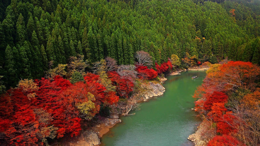 Kyoto Katsuragawa Arashiyama Wallpaper