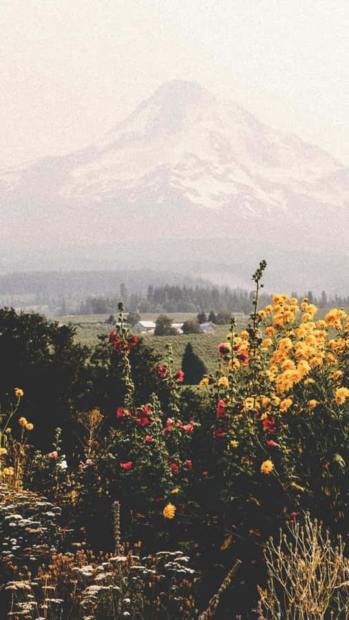 La Cocha Lagoon Relaxing Iphone Wallpaper