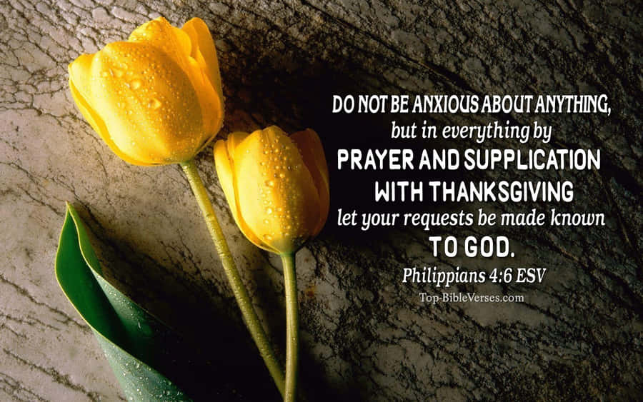 Let God Guide You Wallpaper