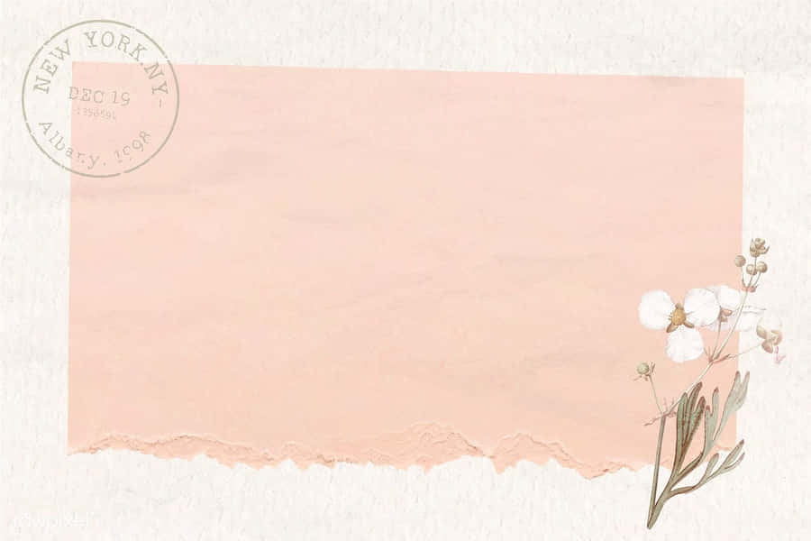 Let The Soft Hues Of Brown Pastel Aesthetic Make You Feel Peaceful. Wallpaper