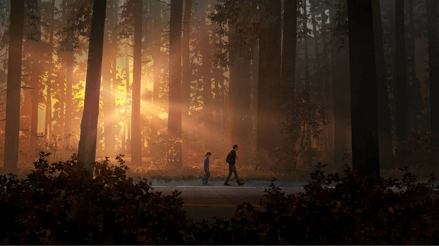 Life Is Strange 2 Walking Forest Wallpaper
