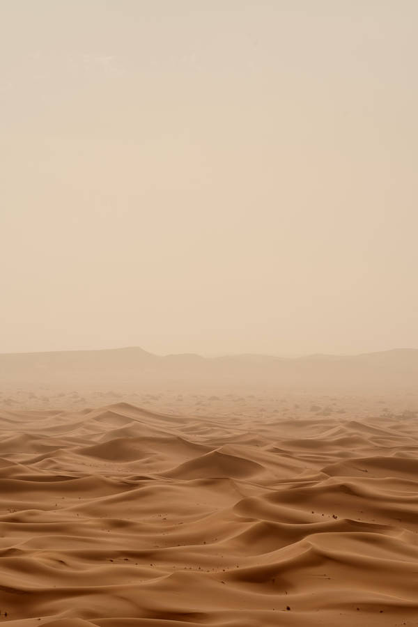 Light Brown Aesthetic Vast Desert Wallpaper