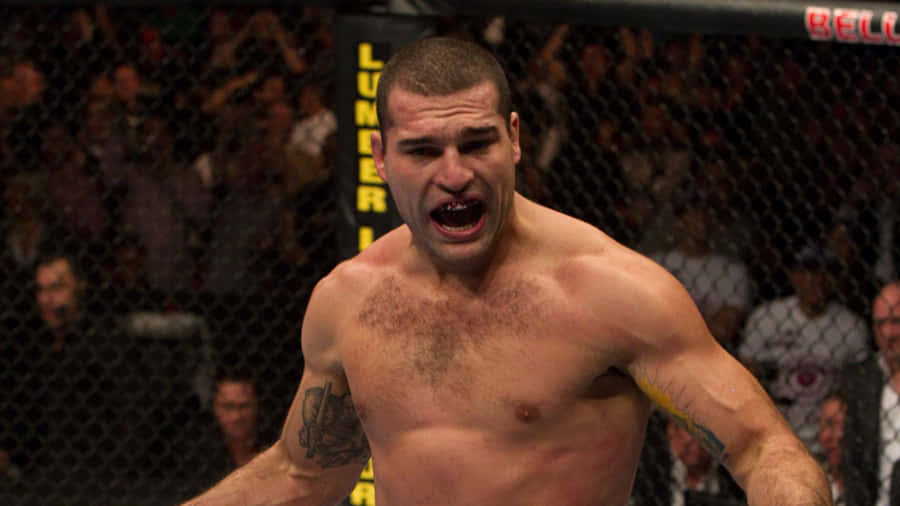 Light Heavyweight Champion Mauricio Rua Wallpaper