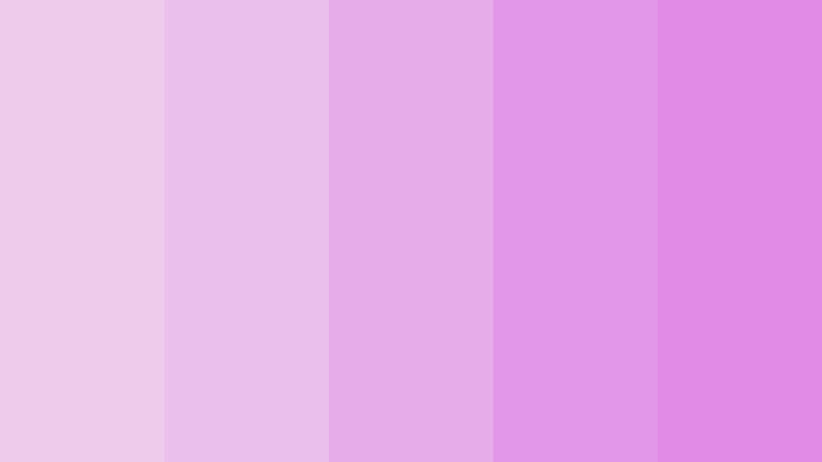 Lilac Color Different Shades Wallpaper
