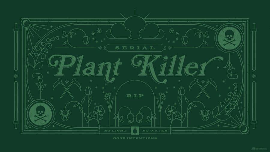 Lime Green Aesthetic Plant Killer Wallpaper